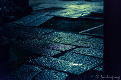 雨の参道