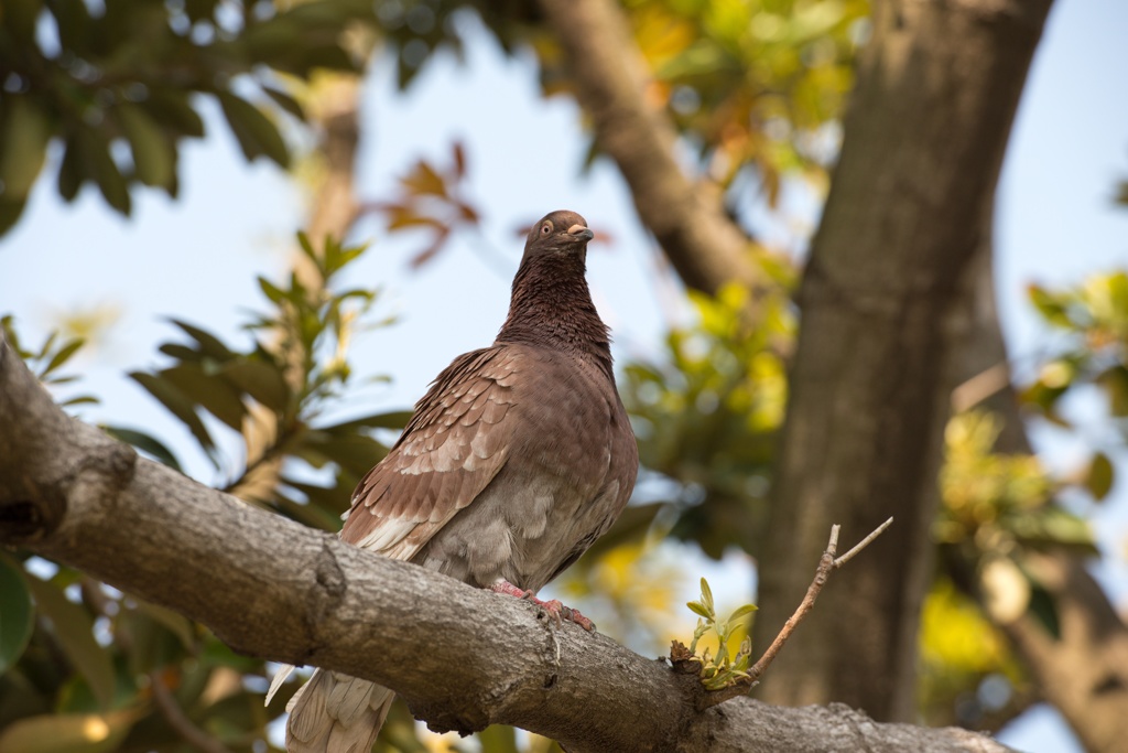 ん？なんか用？