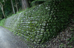 緑の石垣