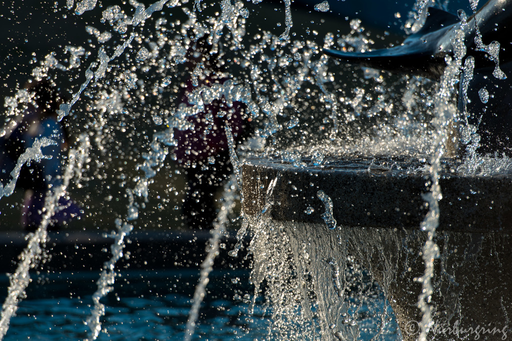 SPLASH