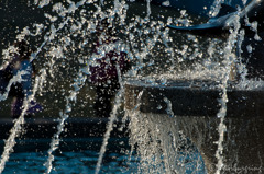 SPLASH