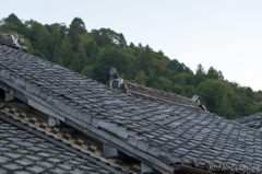 鈴