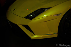 Gallardo