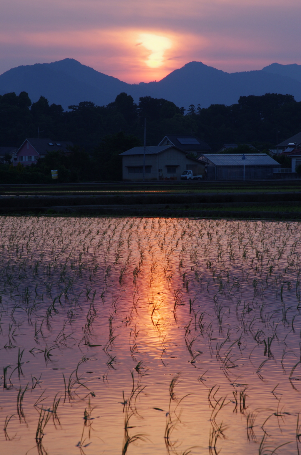 田舎の夕暮れ