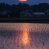 田舎の夕暮れ