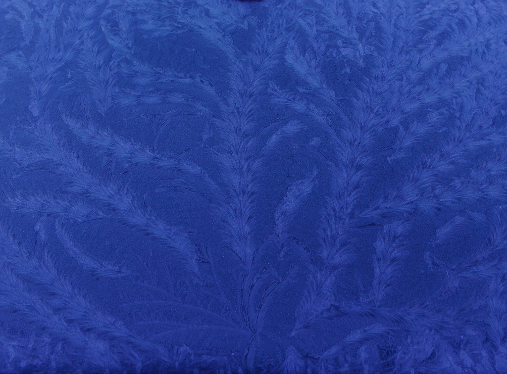 Snowfeather