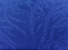 Snowfeather