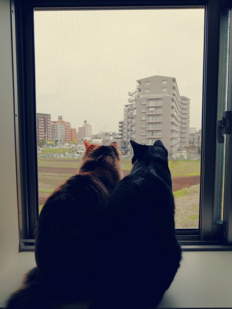 在宅の風景
