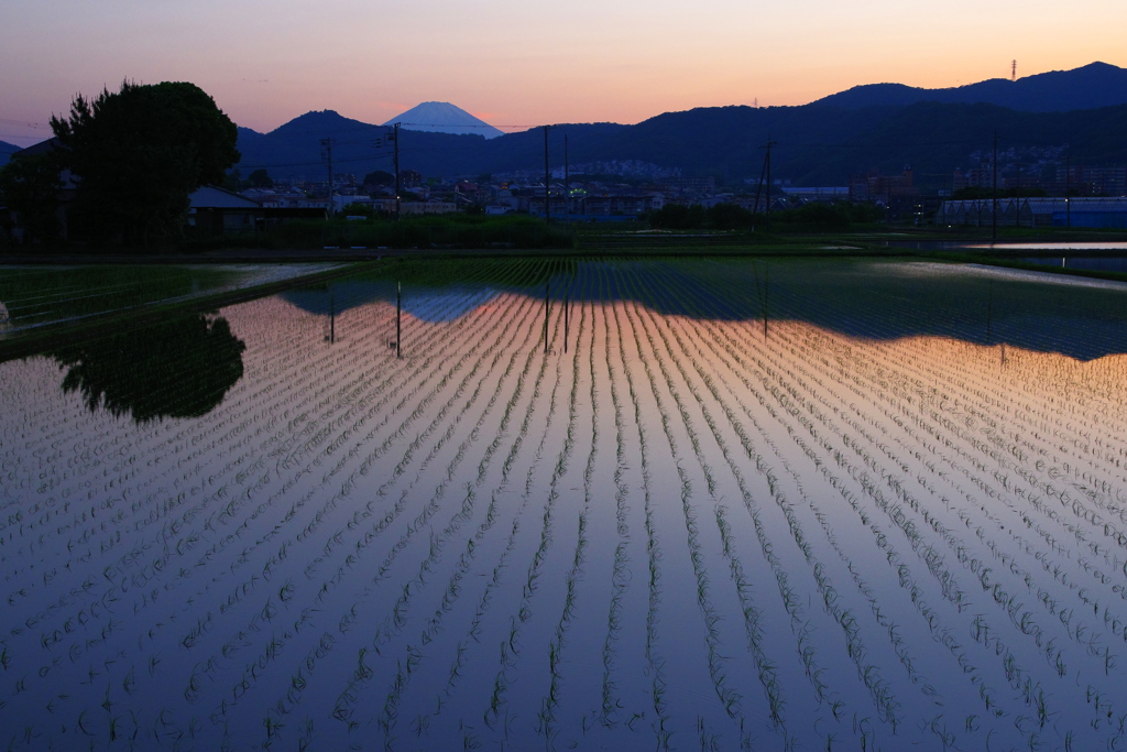 遠き山に日は落ちて