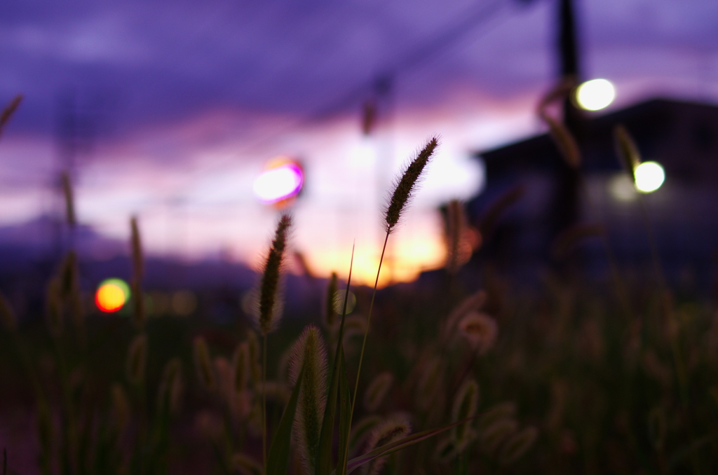 夕暮れ