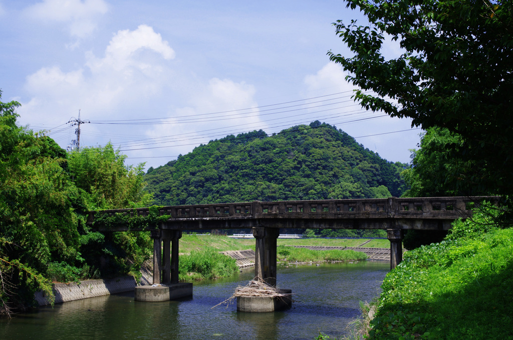 こぶな釣りしかの川