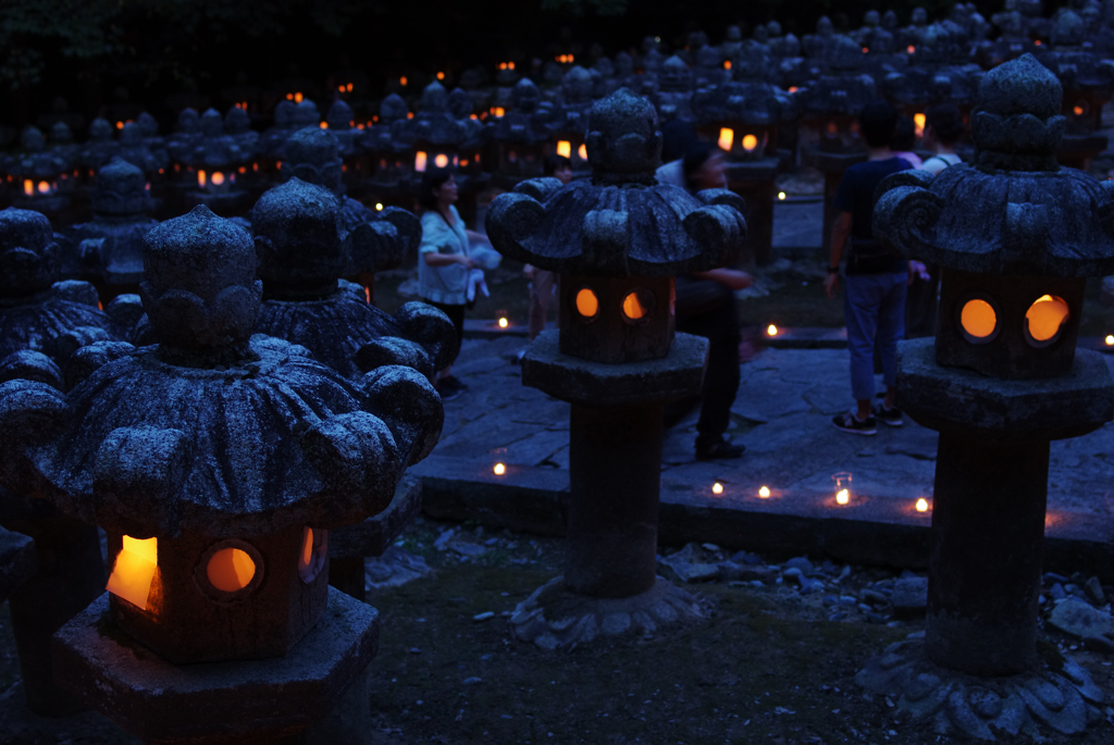 萩 大照院 万灯会