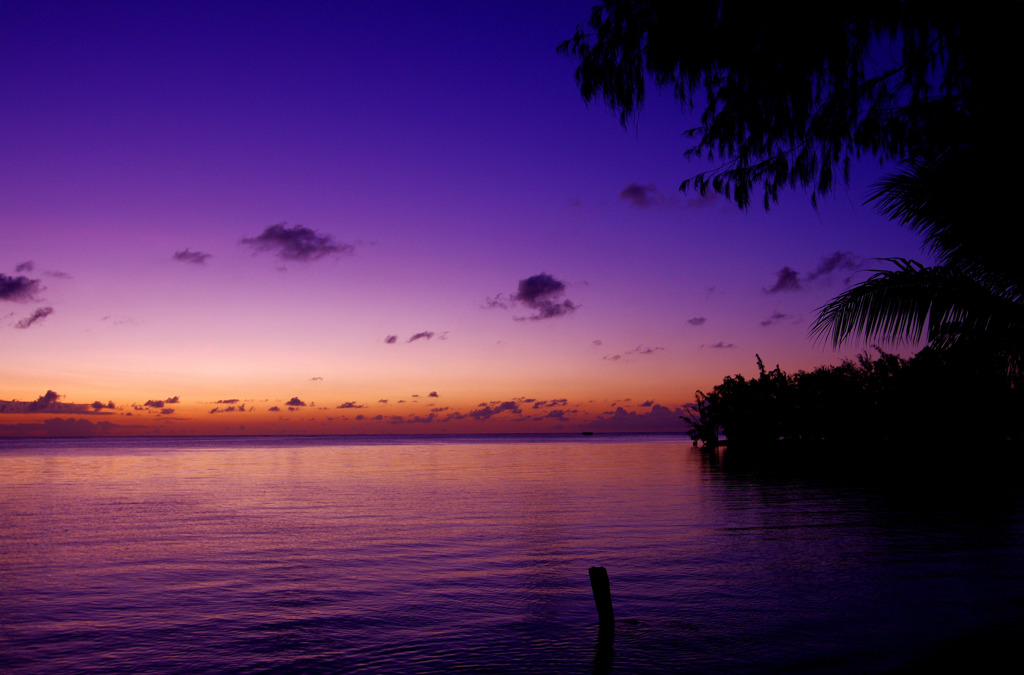 マジックアワー 