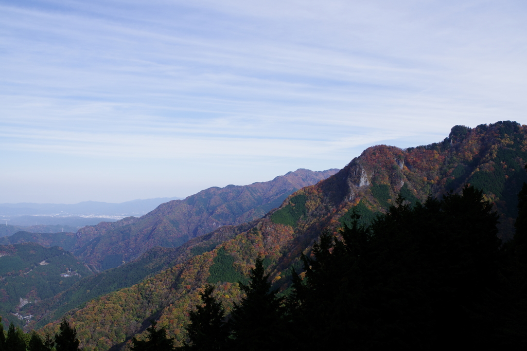 秩父の秋