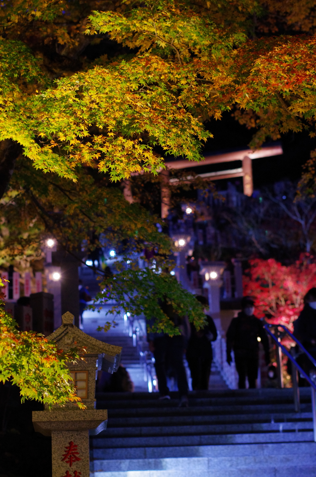 大山阿夫利神社の秋