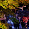 大山阿夫利神社の秋