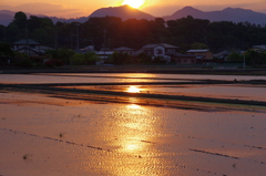 どこにでもある日本の景色