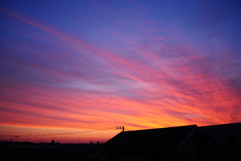 朝日は世界を黄金に染め・・・