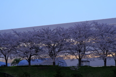 帰宅