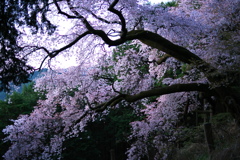 幽玄にして荘厳