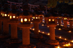 萩 大照院 万灯会