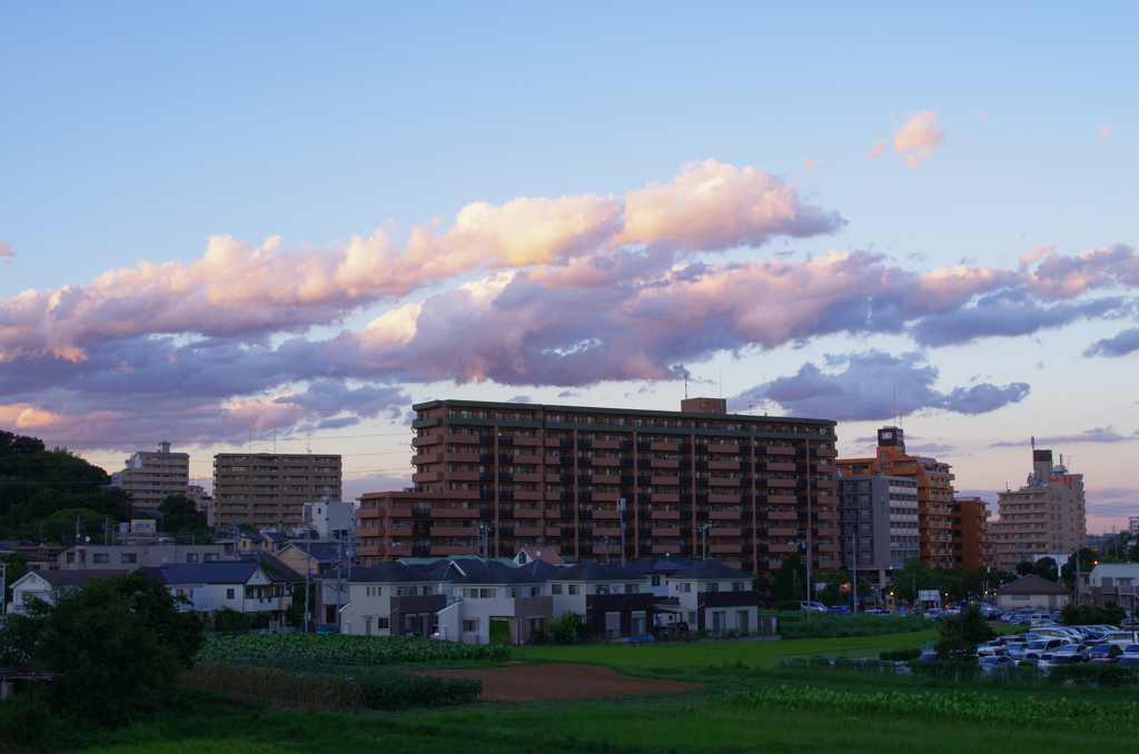 IMGP9008