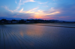 初夏の夕暮れ