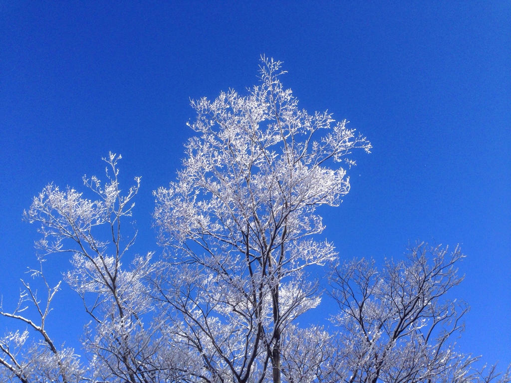 氷点下の銀細工