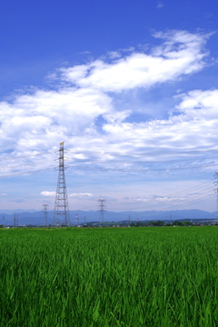 雲と田んぼと鉄塔と