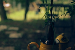 オシャレカフェ