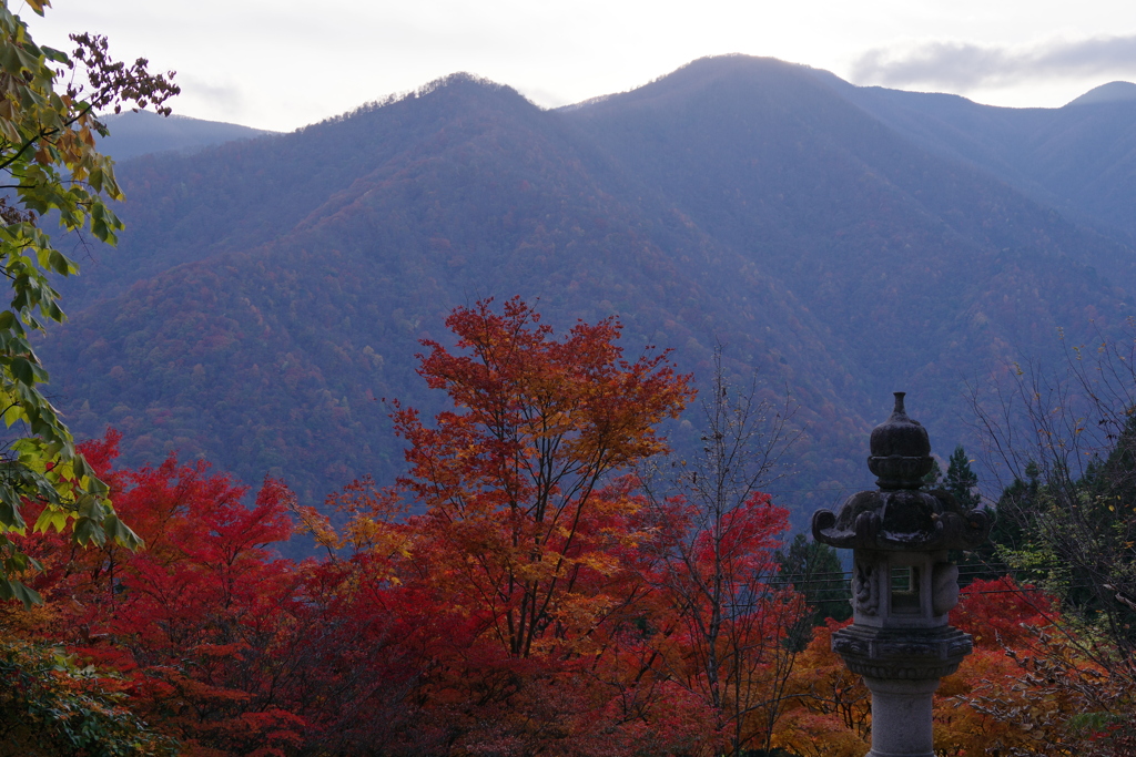 秩父の秋