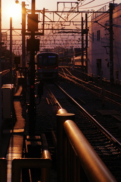 夏の夕暮れ