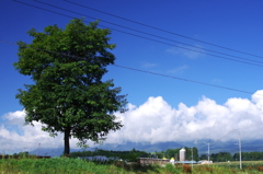 綺麗な空