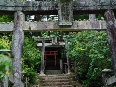 鳥居の奥の奥の奥、、、