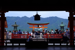 宮島のにぎわい