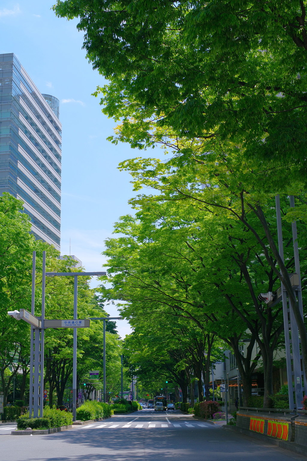 GWの新宿は人も少なくて