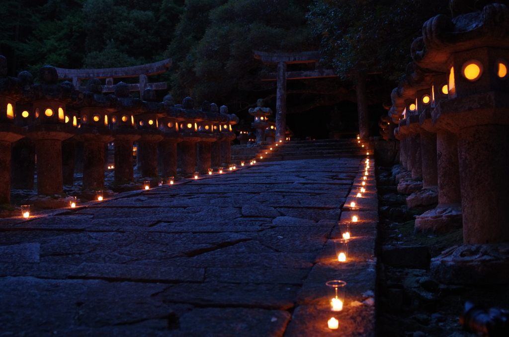 萩 大照院 万灯会