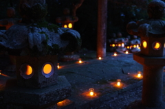 萩 大照院 万灯会