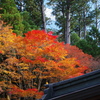 三峰神社の秋