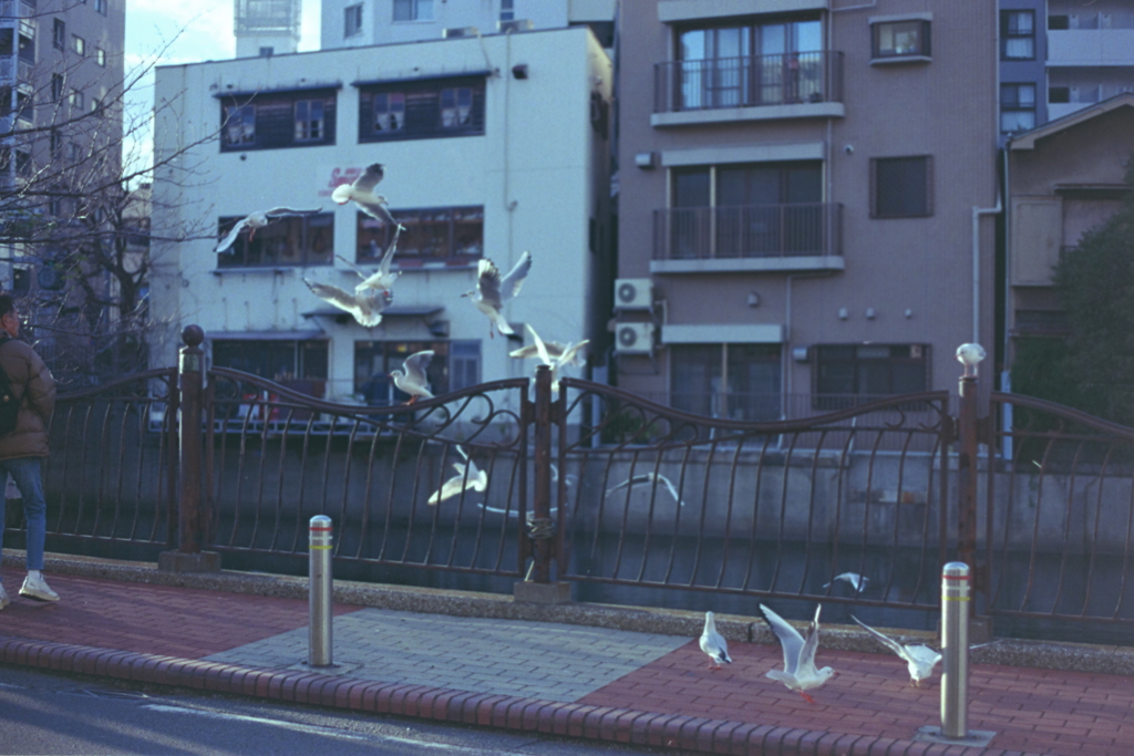 横浜野毛界隈