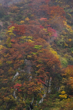 湯殿山　霧の中