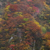 湯殿山　霧の中