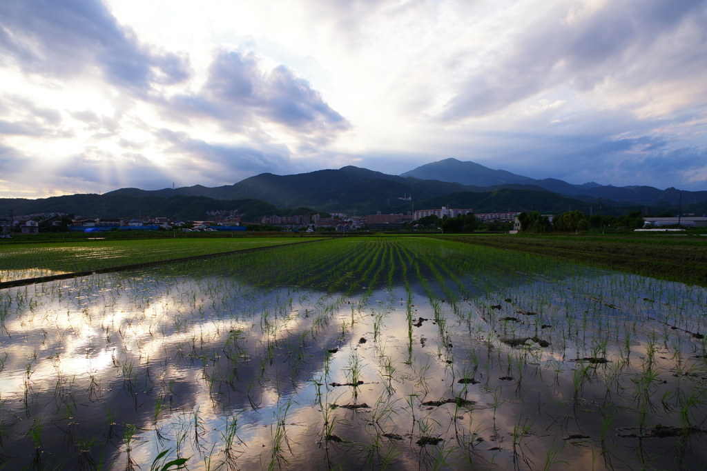 大山に抱かれて