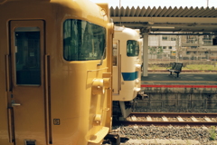 共に歳を重ね