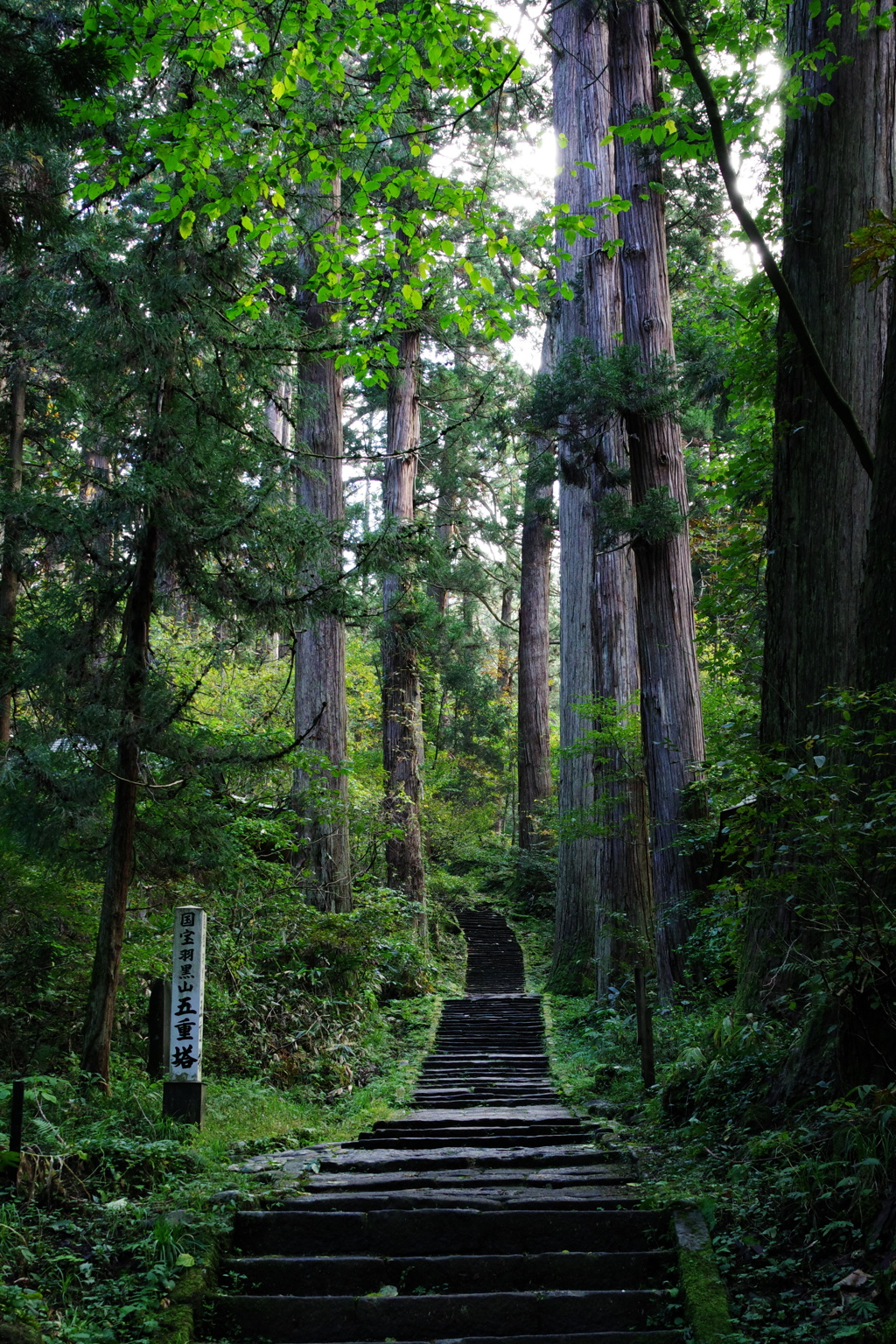 羽黒山