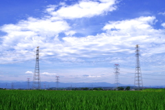 雲と田んぼと鉄塔と