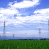 雲と田んぼと鉄塔と