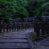 ひぐらし鳴く大照院