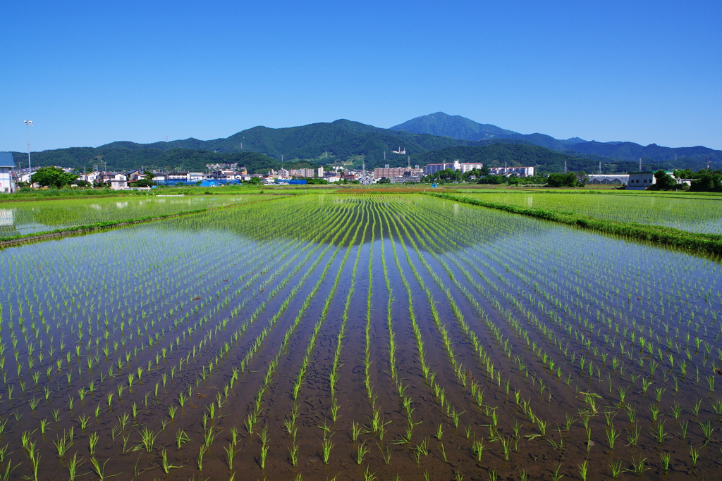 なぜか落ち着く景色