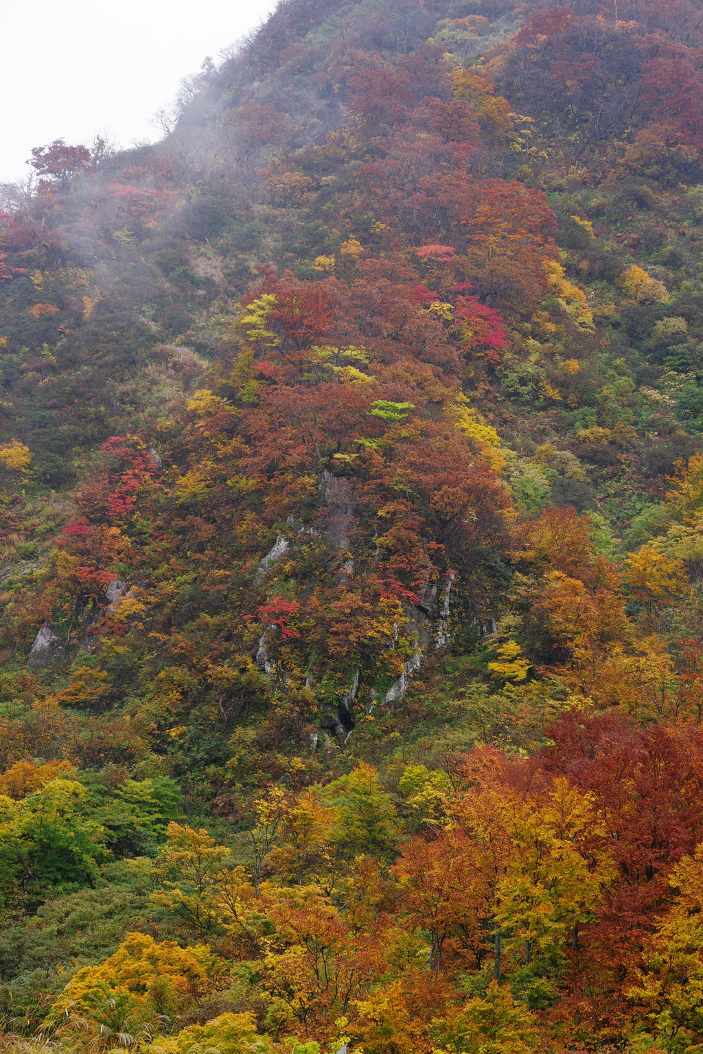 湯殿山　霧の中